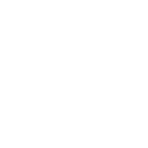 Fisura